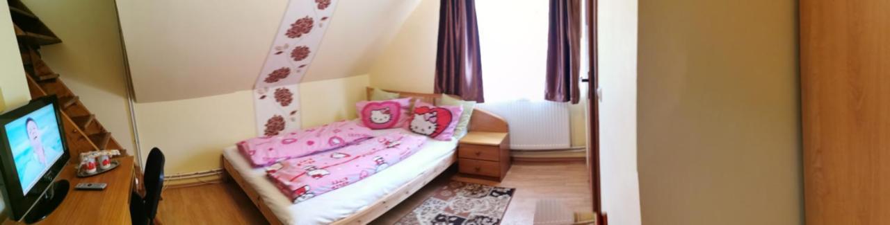 Guest house Ocna Mesaros