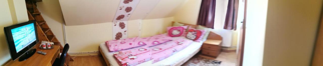 Guest house Ocna Mesaros 2*