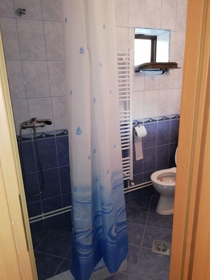Guest house Ocna Mesaros