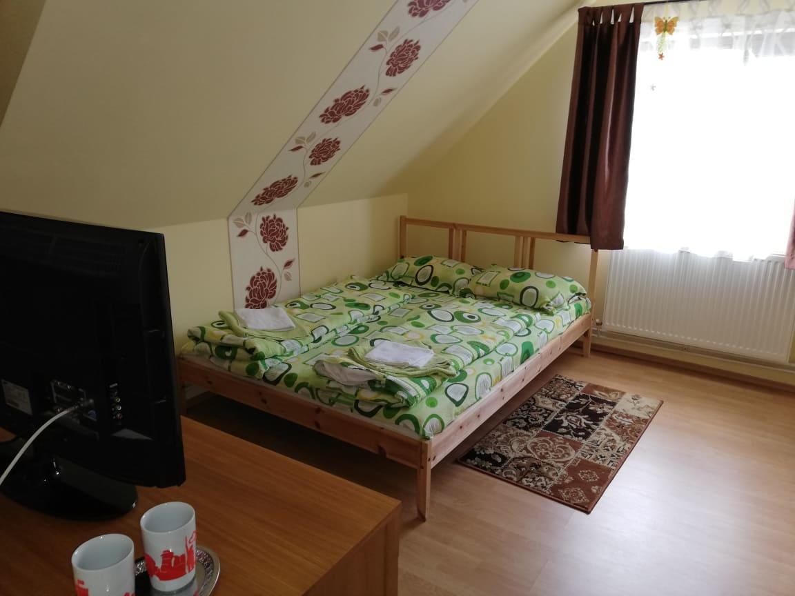 Ocna Mesaros Guest house 2*