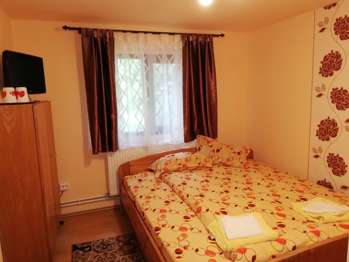 Ocna Mesaros Guest house 2*