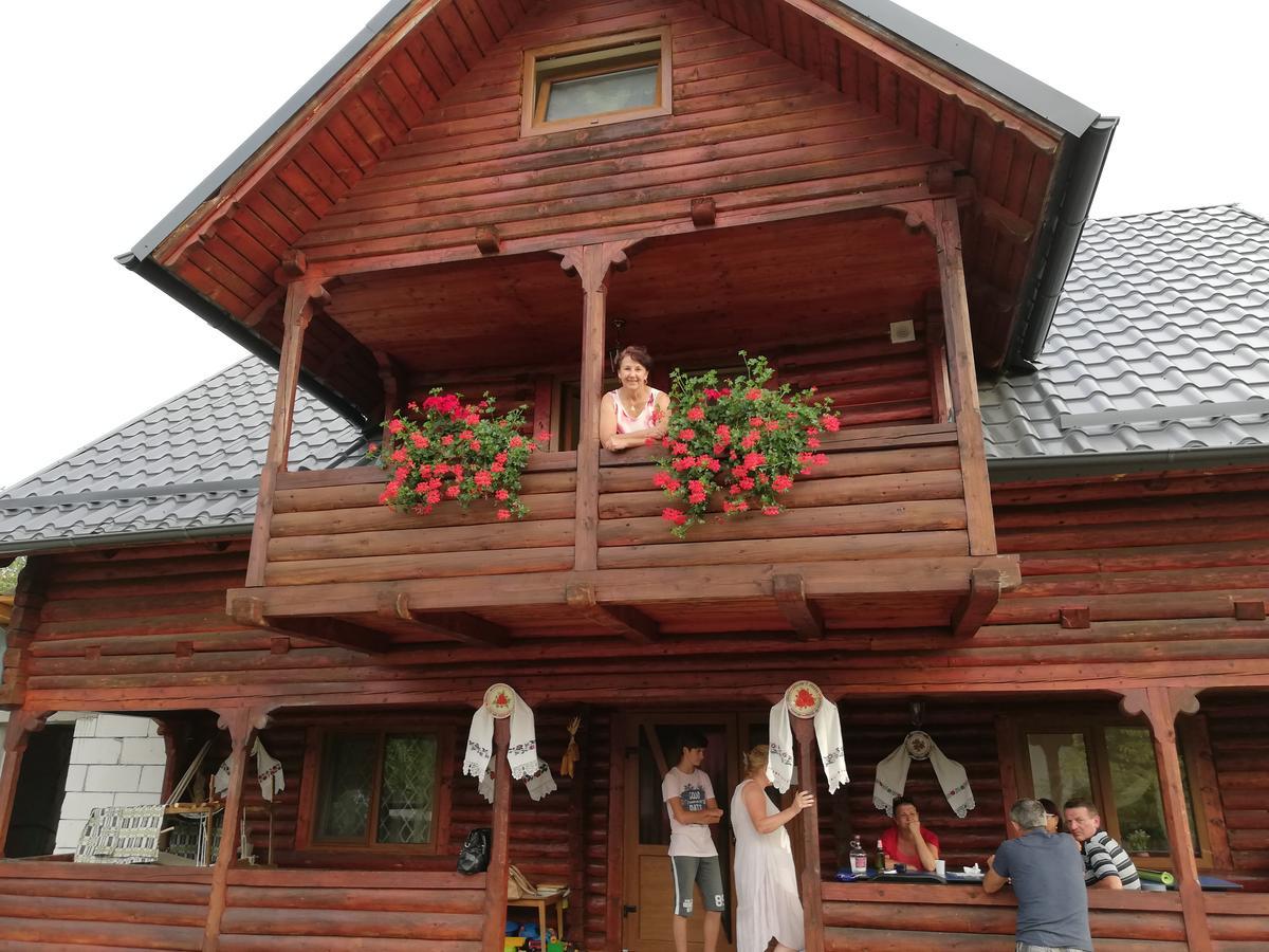 Ocna Mesaros Guest house